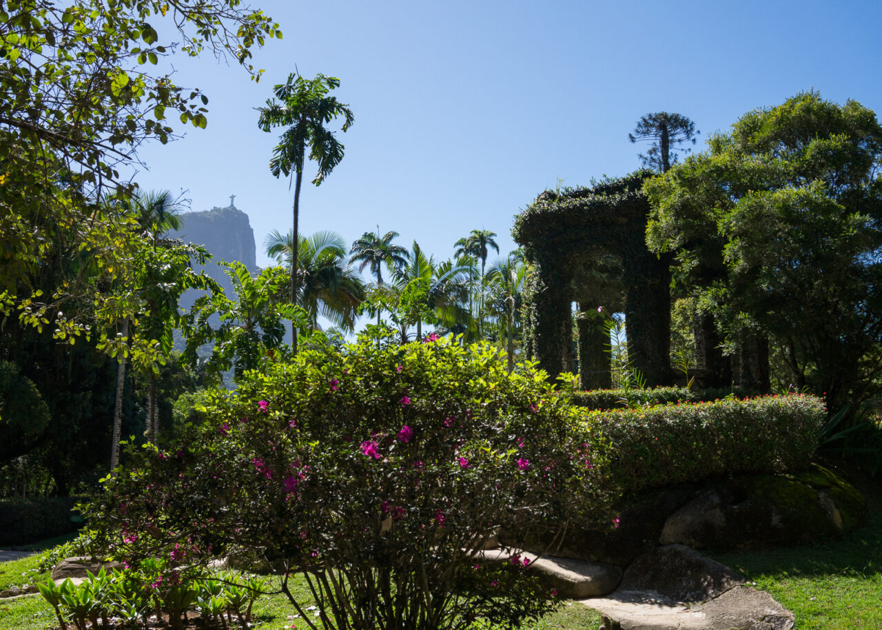 botanical-gardens-rio-de-janeiro-1280x914-1 Botanical Gardens in Rio de Janeiro Brazil
