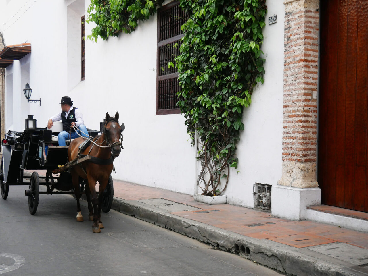 horse-and-carriage-cartagena-1280x961-1 Horse and carriage in Cartagena, Colombia