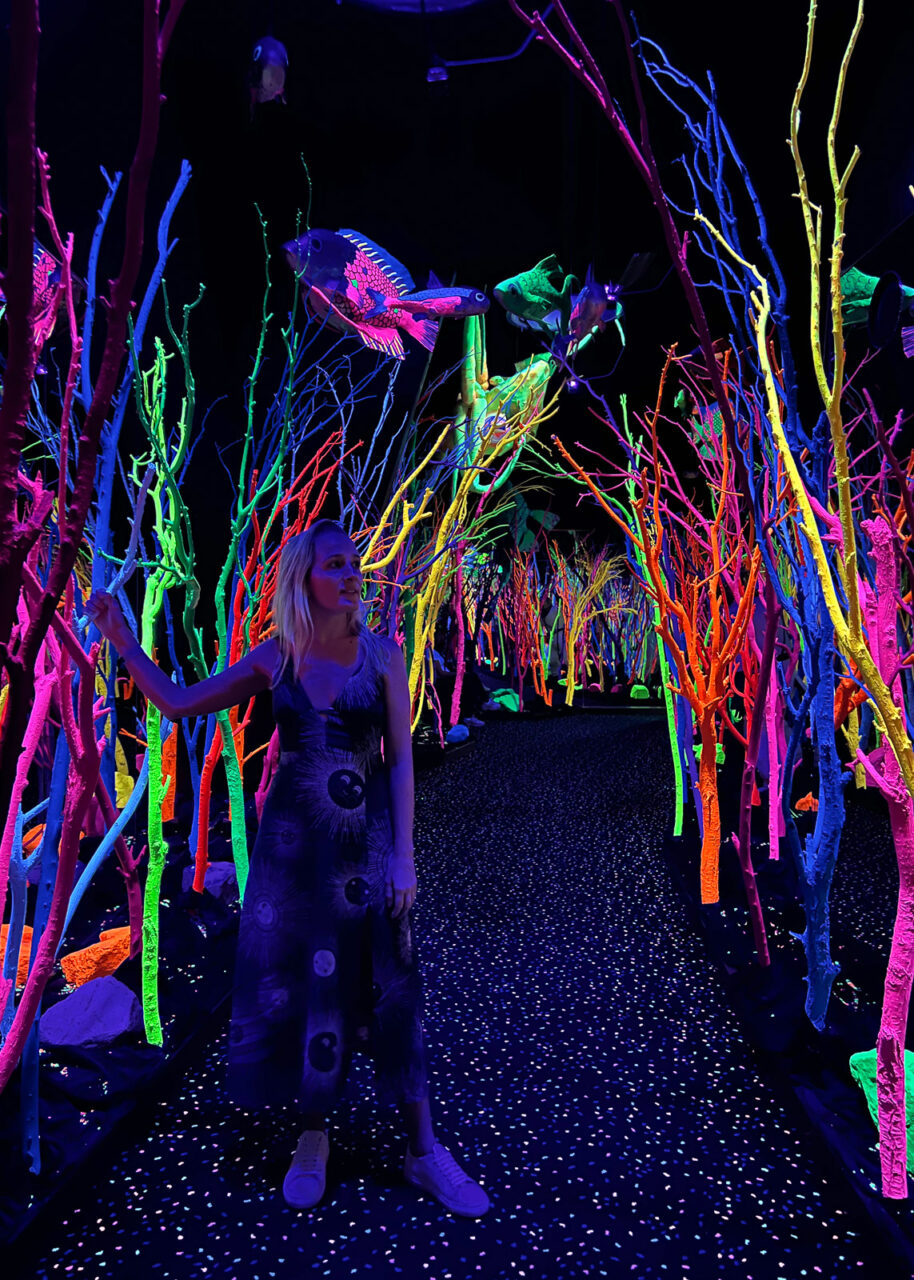 meow-wolf-santa-fe-914x1280-1 Meow Wolf Santa Fe