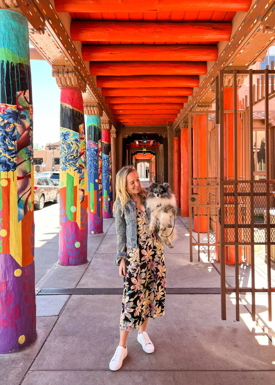 santa-fe-with-a-dog-914x1280-1 Santa Fe with a dog